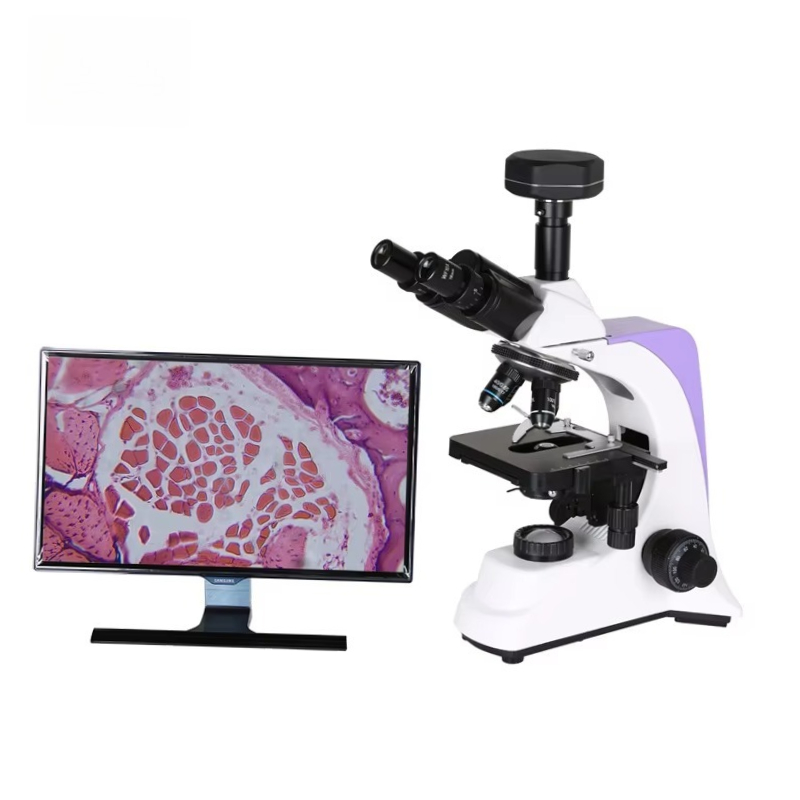 Medical Laboratory Scientist - Digitale biologische microscoop voor medisch laboratorium,